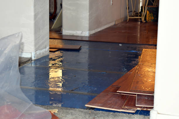 Professional Water Damage Restoration technician working in California, KY